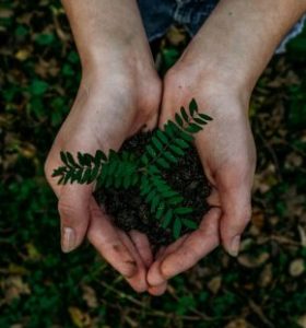 noah-buscher-x8ZStukS2PM-unsplash-scaled-qp6e9376wl0uj2dj4k91y68dylpykoja0bj69r1q98